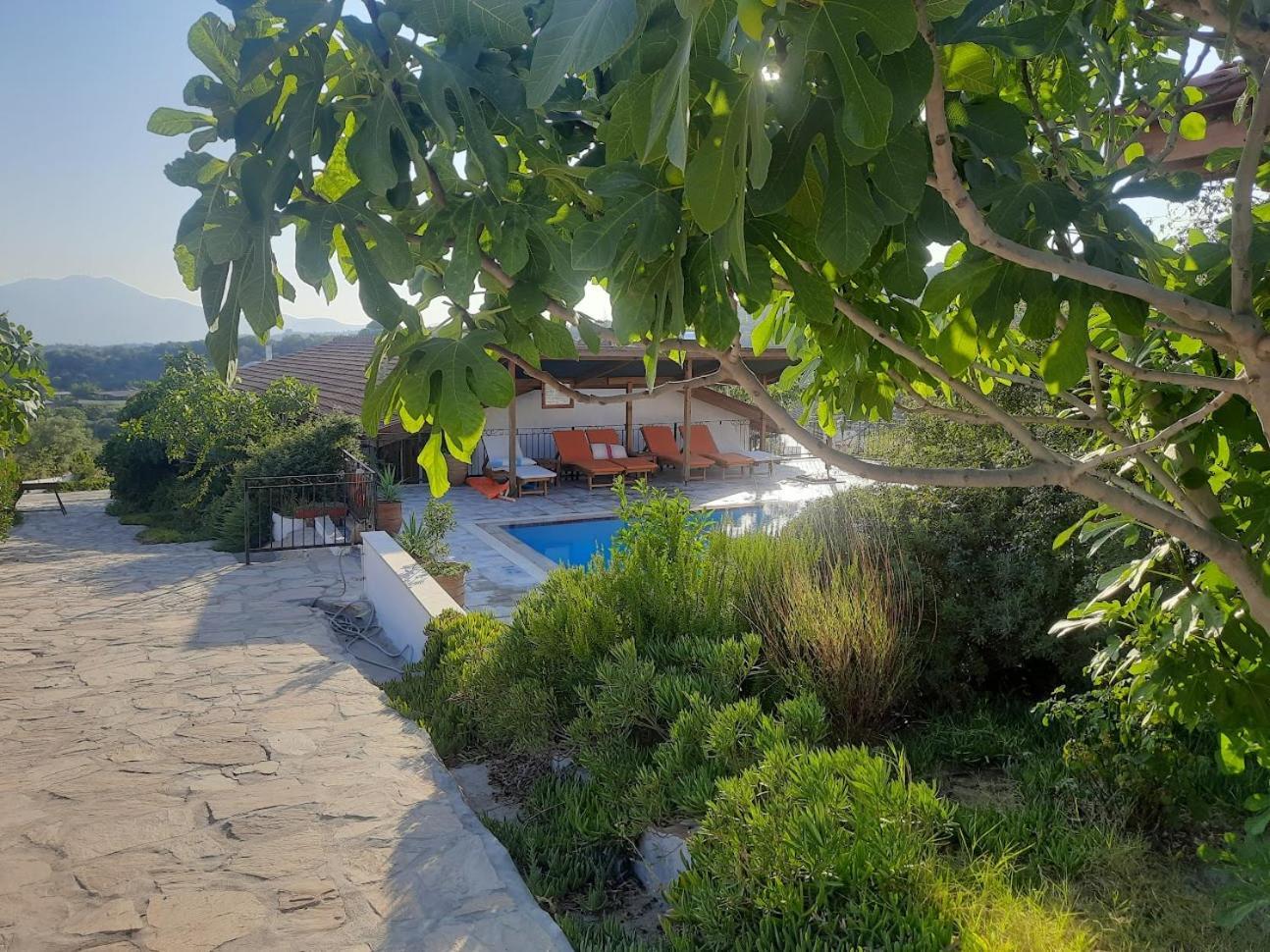Ionia Guest House Aydin Bagian luar foto