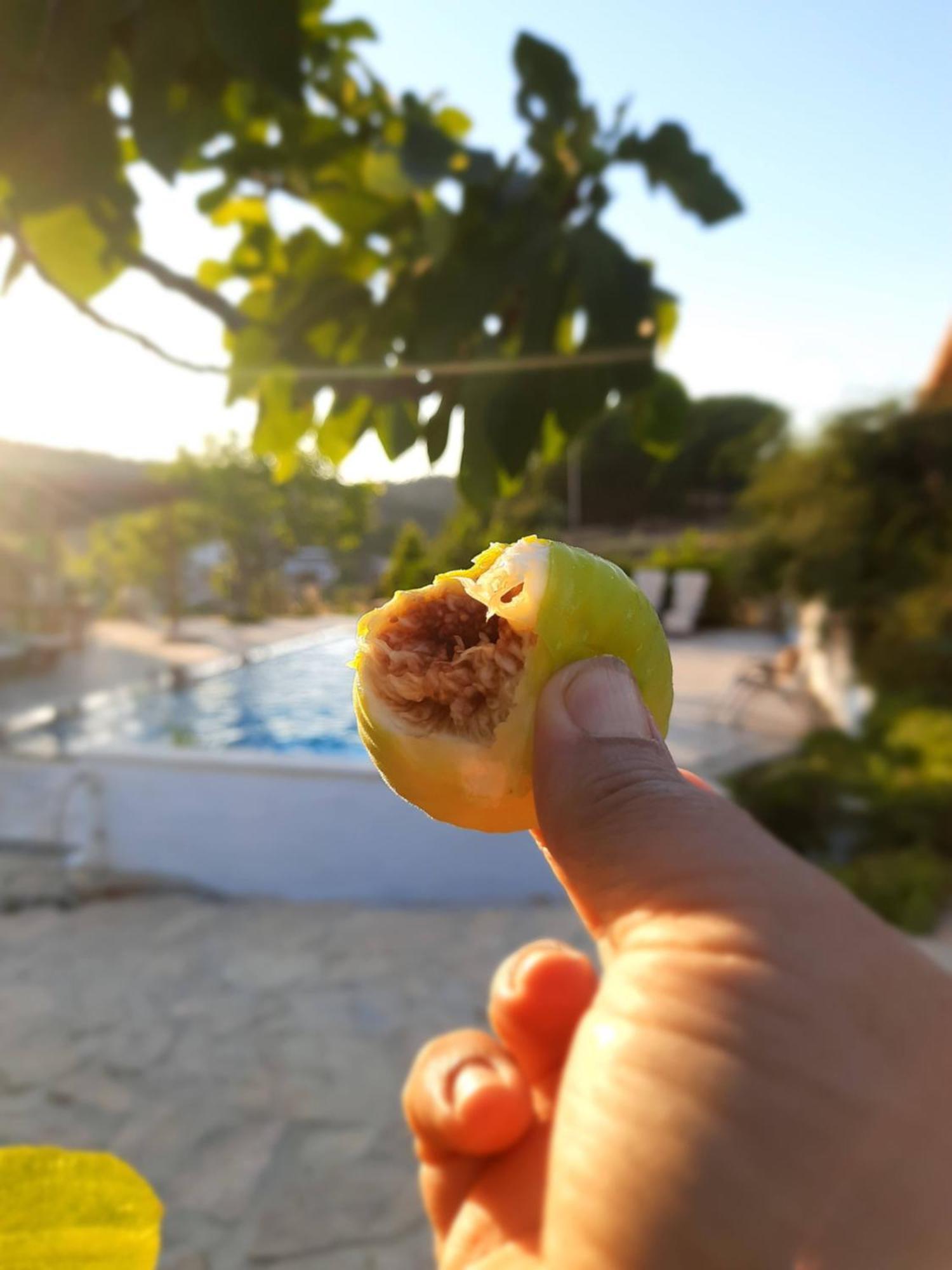 Ionia Guest House Aydin Bagian luar foto