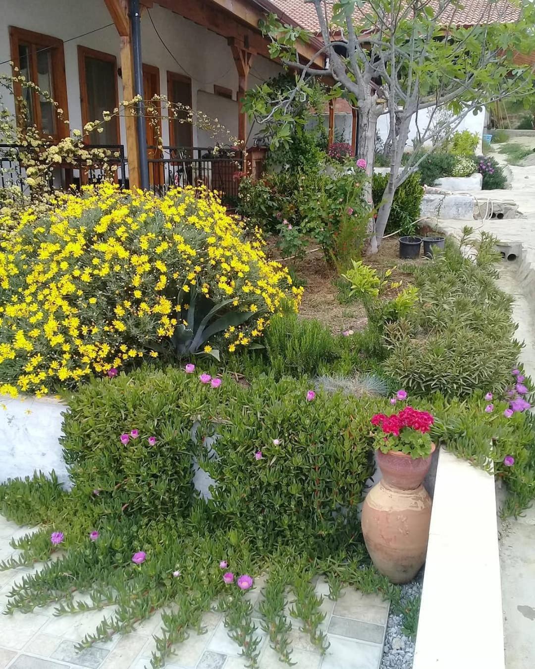 Ionia Guest House Aydin Bagian luar foto