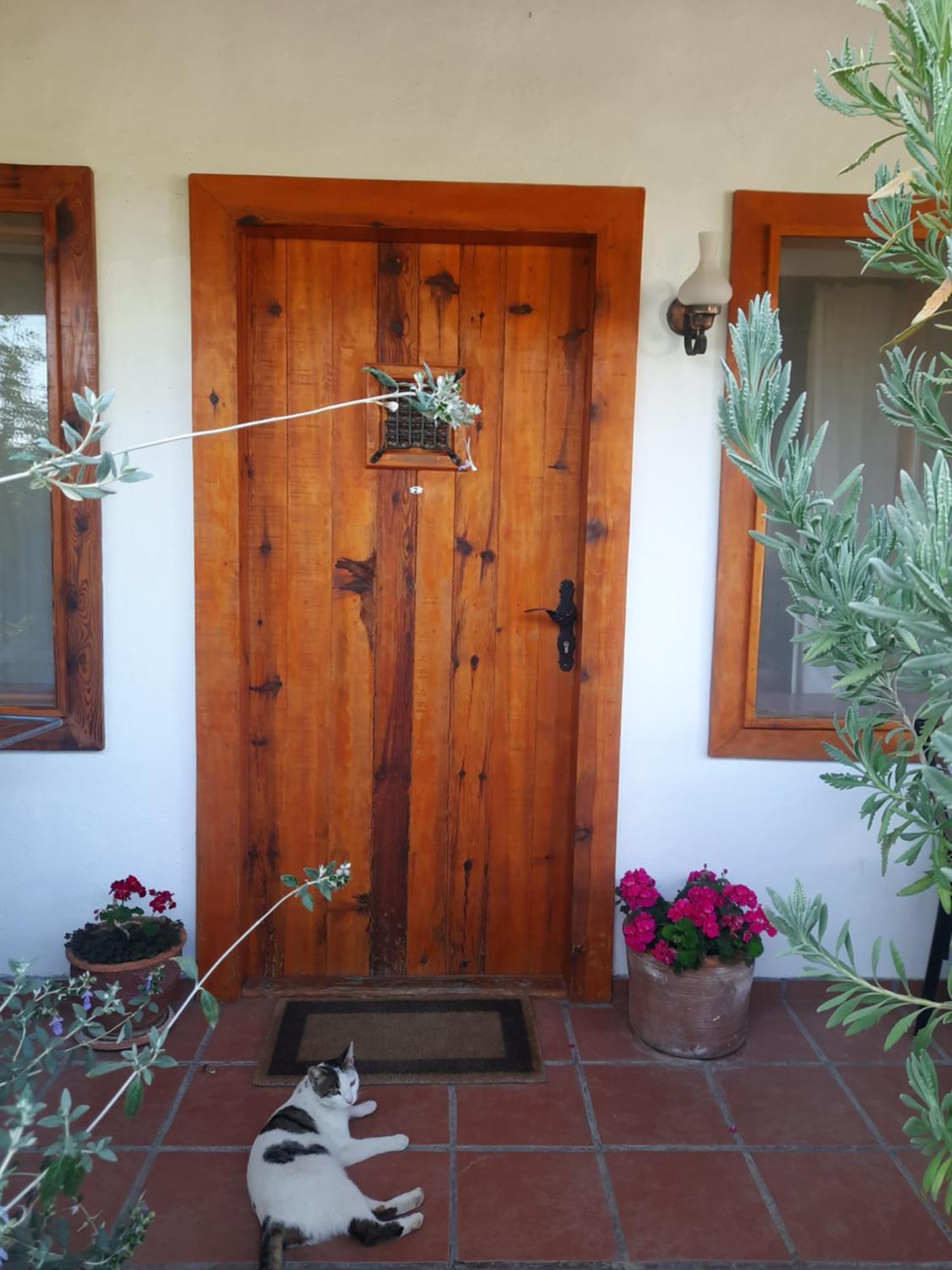 Ionia Guest House Aydin Bagian luar foto