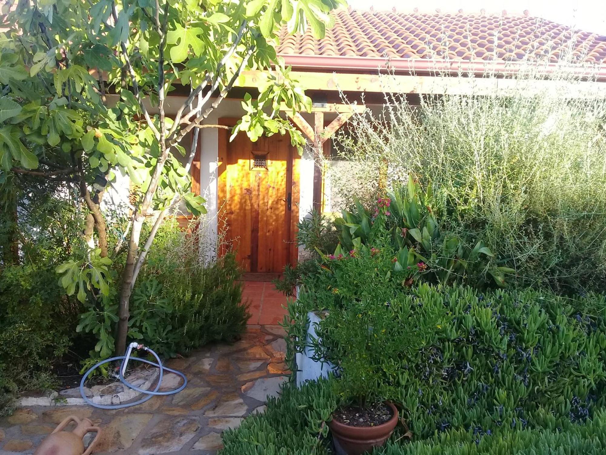 Ionia Guest House Aydin Bagian luar foto