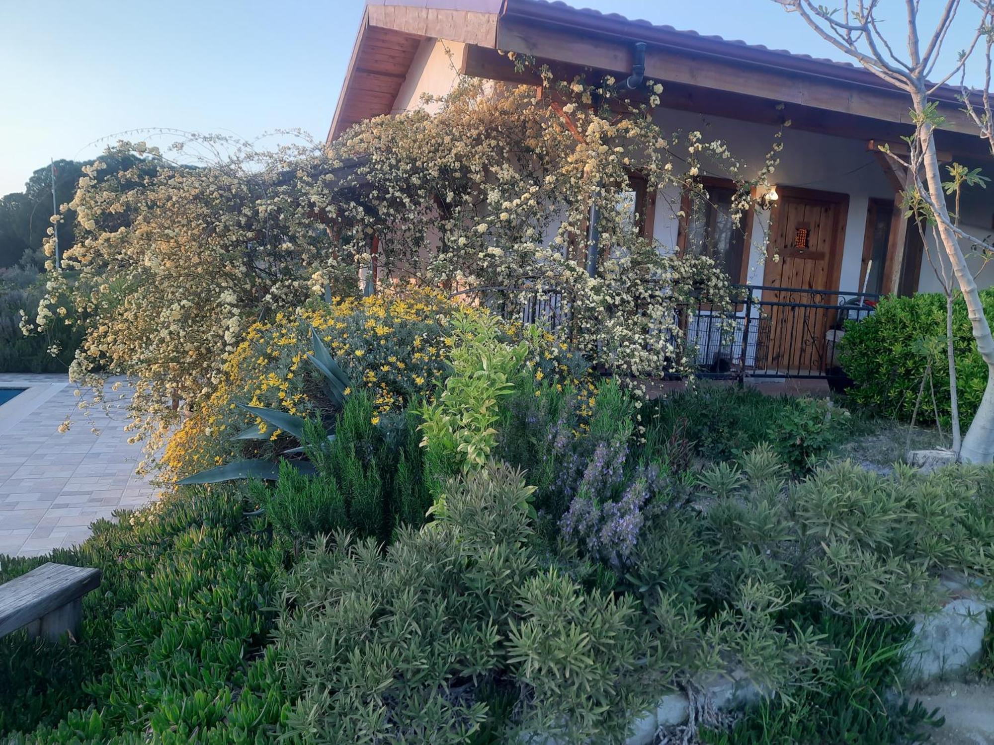 Ionia Guest House Aydin Bagian luar foto