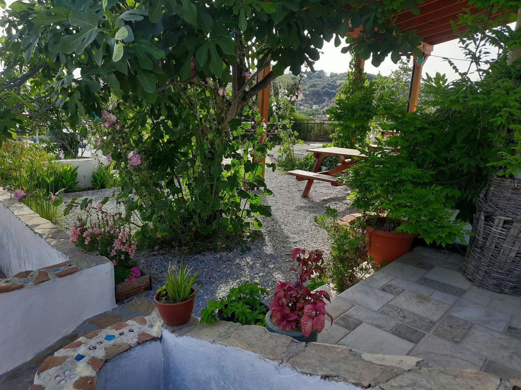 Ionia Guest House Aydin Bagian luar foto