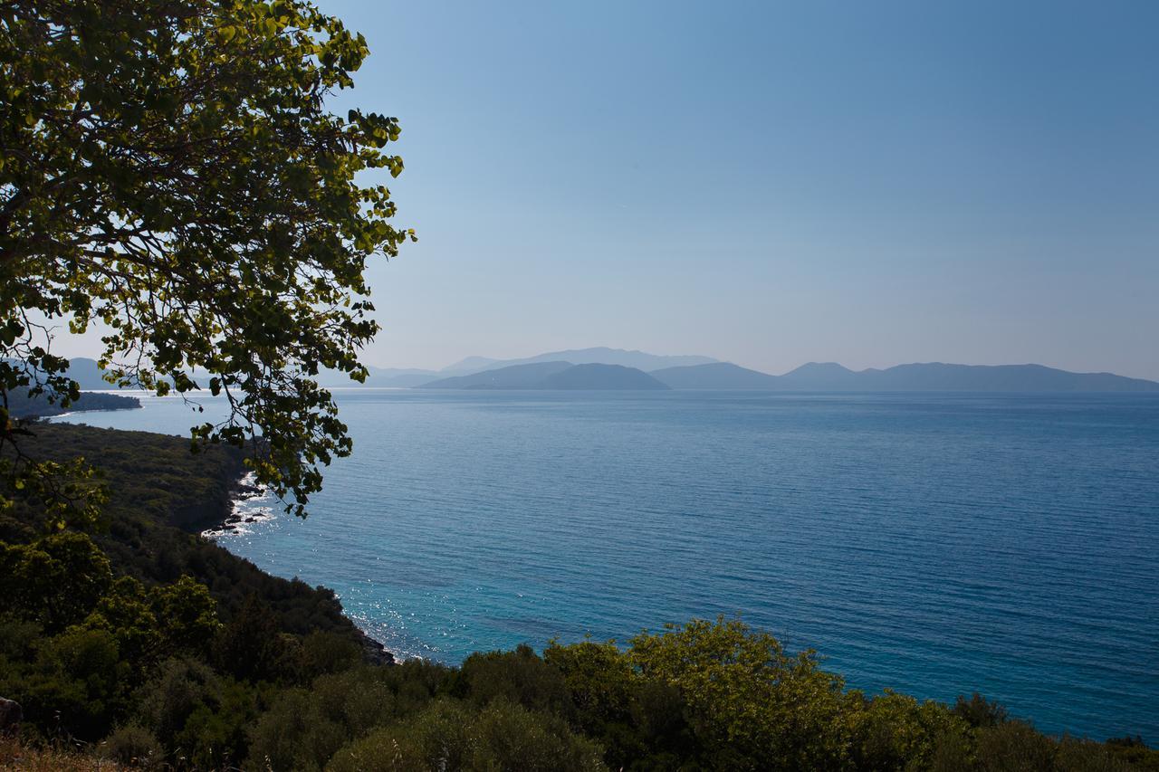 Ionia Guest House Aydin Bagian luar foto