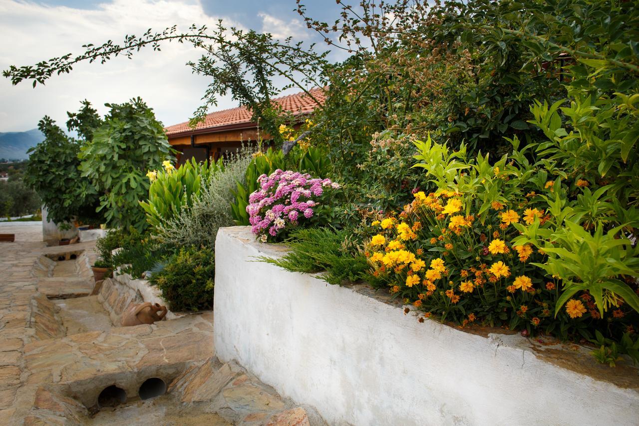 Ionia Guest House Aydin Bagian luar foto