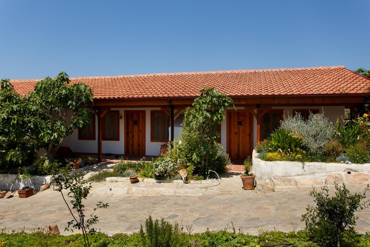 Ionia Guest House Aydin Bagian luar foto